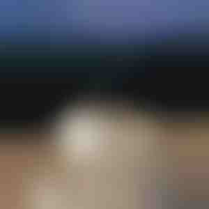 Diffusore di aromi rilassante | MEDUSAMIST