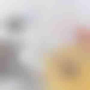 Spazzola Flessibile per Scarichi e Tubi Intasati | DRAINOVA