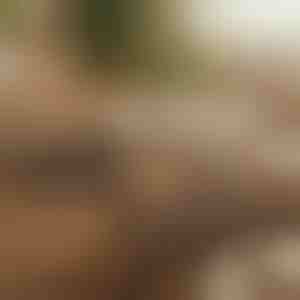 Organizzatore di cavi magnetico autoadesivo (12 pezzi) | CABLIP