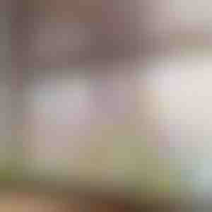 Adesivo floreale vivace per finestra | FLORASTIK