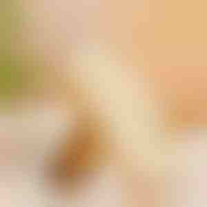 Spazzola in gomma per scarpe | RUBSHOE