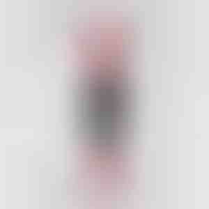 Panno in microfibra premium riutilizzabile per la pulizia | WIPLY