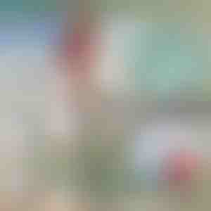 Gancio telescopico in metallo | FASTDOCK