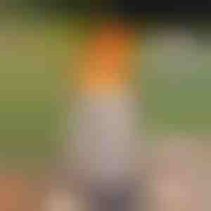 Braciere da tavolo senza fumo - fiamma reale, senza fumo, per interni ed esterni | FIRENOVA