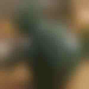 Massaggiatore riscaldato per shiatsu | MASSORA