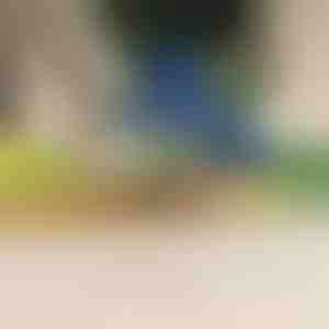 Sbucciatore elettrico per frutta e verdura | PEELMATIC