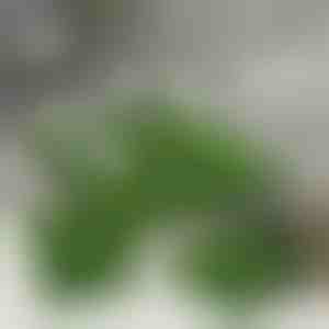 Piastrelle in erba sintetica per decorazioni (5pz) | GRASSTILE