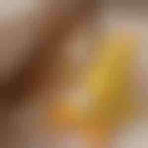 Giocattolo di peluche con suono di anatra morbido | CALMQUA