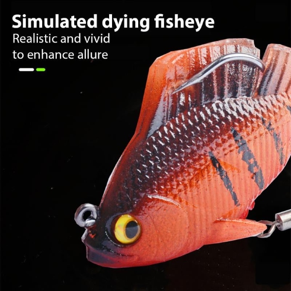 FISOLOVKA-3831127633449-EN-1__260126