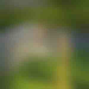 Affascinante luce solare da giardino | LUMICAN
